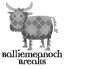 Balliemeanoch Breaks. Click to read more...