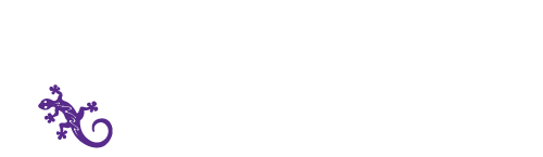 Lizards do a lot of good; they play a major role in making our lives and environment more comfortable.